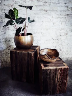 Dikita Mango Wood Bowl
