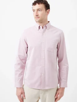 Regular Fit Button Down Oxford Shirt