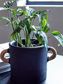 Terracotta Plant Pot